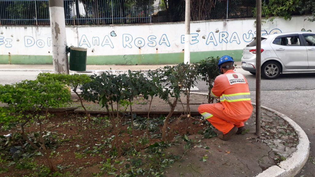 Limpeza e poda dos arbustos e árvores do local da intervenção urbana lúdica, próximo à EMEI Dona Ana Rosa de Araújo - SP.