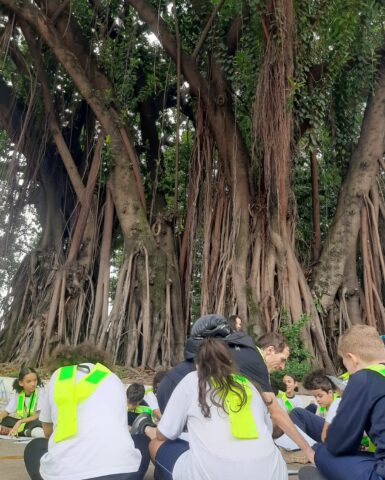 Bonde a Pé é Poesia – Por Alexandre Pelegi