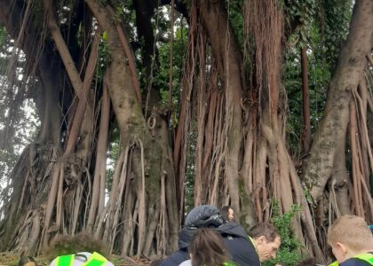 Bonde a Pé é Poesia – Por Alexandre Pelegi