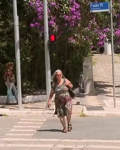 O Semáforo de Pedestres Inteligente da USP e o direito de atravessar com segurança O Semáforo de Pedestres Inteligente da USP e o direito de atravessar com segurança